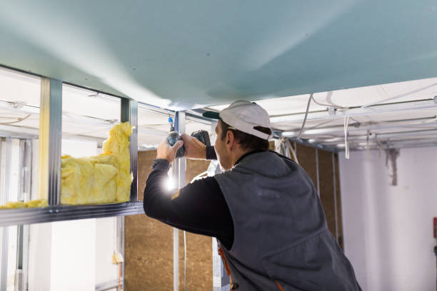 Best Wall Insulation Contractor  in Utica, NY